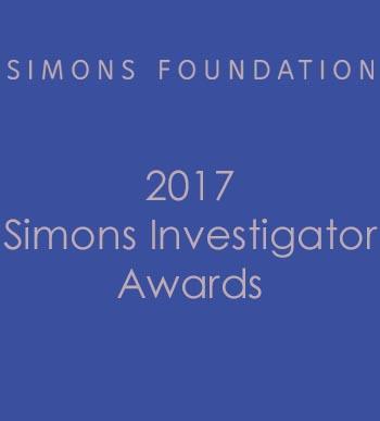 2017 Simons Investigators